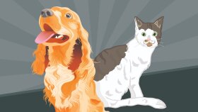 Eve Mama - Sosyal Medya Banner Çalışmaları