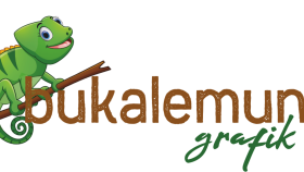 ihtiyacınız olan her ürünün tasarımını yapabilirim