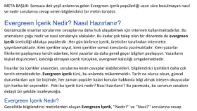 Duende Medya - SEO Uyumlu Metin Yazarlığı