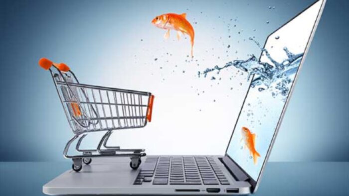 e ticaret siteleri için anahtar teslim ve destek sağlarım