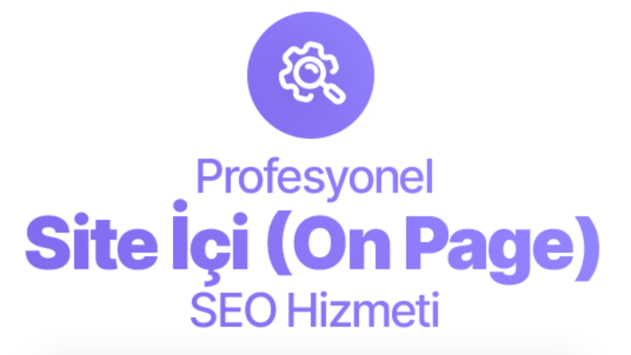 web sitenize kapsamlı iç seo çalışması yaparım