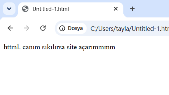 yazılım konusunda uzmanım reklamcılık öne çıkarma  yaparım