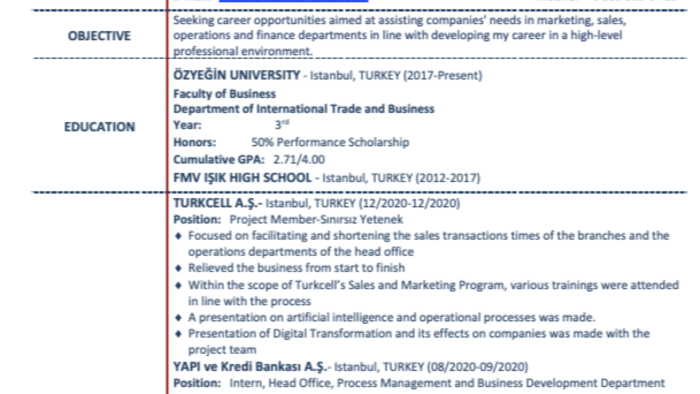 İngilizce ve Türkçe CV hazırlarım