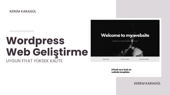 profesyonel bir website oluşturabilirim