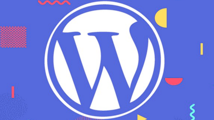 wordpress tabanlı websitesi yapabilirim ve düzenlerim
