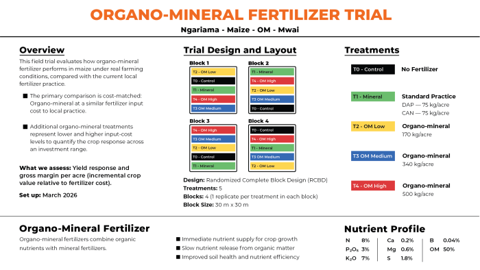 infografik (veri sunan) grafik sunumlar hazırlayabilirim