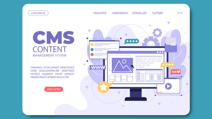 ASP.NETCORE MVC ile dynamic web sitesi yapabilirim