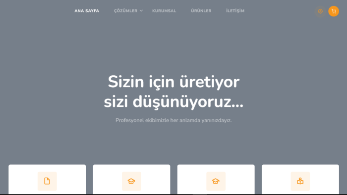 C# MVC ile kurumsal web yapabilirim
