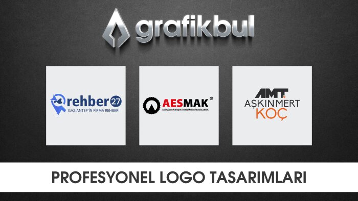 firmanıza özel profesyonel bir logo yaparım