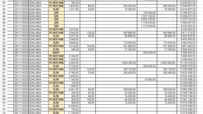 ihtiyacınız olan tüm tablo ve raporları hazırlayabilirim