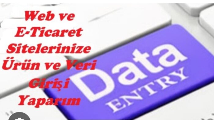 e-ticaret siteleri için ürün veri girişi yaparım