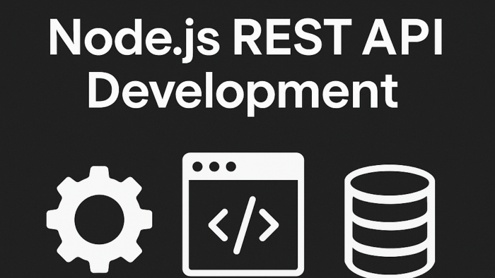 nodejs ile rest api geliştiririm