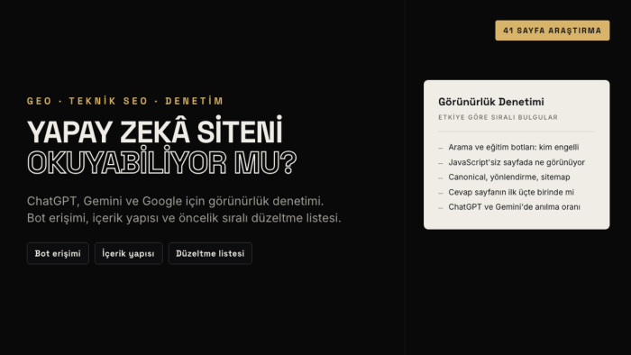 siten için GEO ve teknik SEO denetimi yaparım