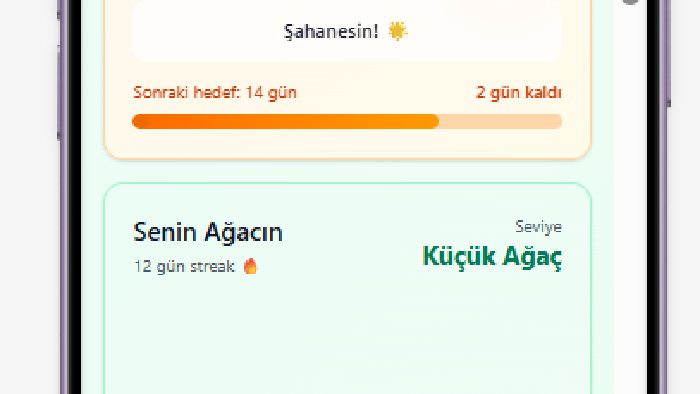 mobil ve web arayüzleri için UI/UX tasarımı yapıyorum