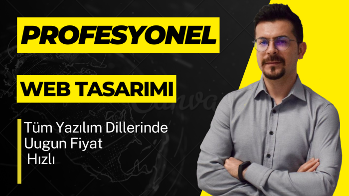 profesyonel websitesi tasarlıyorum