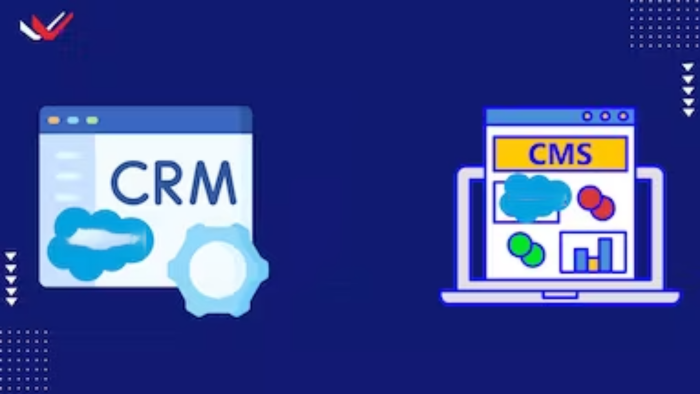 CRM ve CMS projenizi profesyonelce yaparım