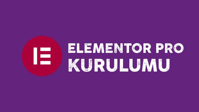 Elementor Pro eklenti kurulumu ve aktivasyonu yapıyorum