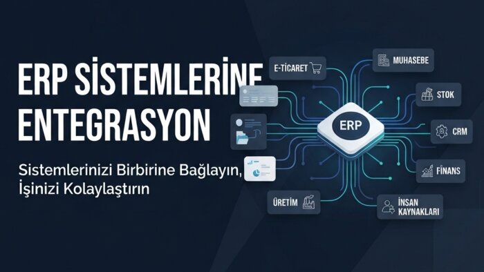 erp sistemlerine toplu veri aktarımı yapabiliyorum
