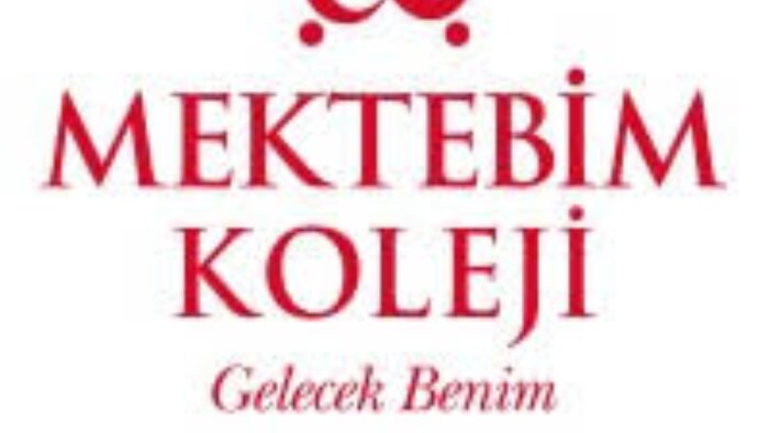2d animasyonlarınızı seslendiririm