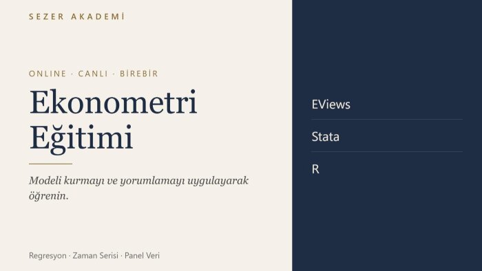 online canlı ekonometri eğitimi veririm