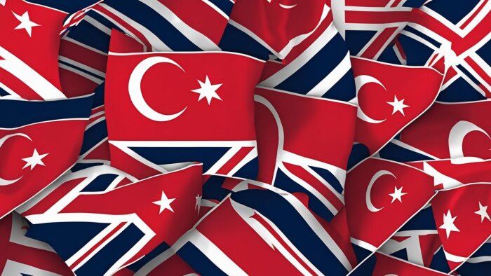 İngilizce'den Türkçe'ye çeviri yaparım