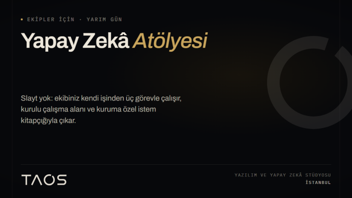 şirket ekibinize uygulamalı yapay zeka eğitimi veririm