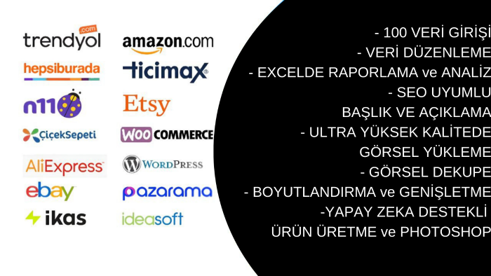 yapay zekayla excel analizi, sitelere ürün girişi yapıyorum
