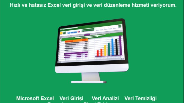 excel'de veri girişi, veri düzenleme işleri yapıyorum