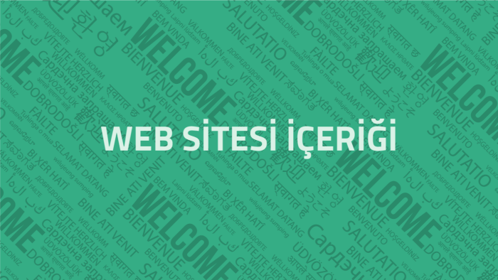 web siteniz için özgün yazılar yazabilirim