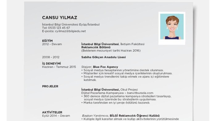 sizin için profesyonel bir cv hazırlayabilirim