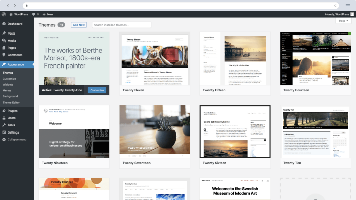 Wordpress sitenizi özelleştirebilirim