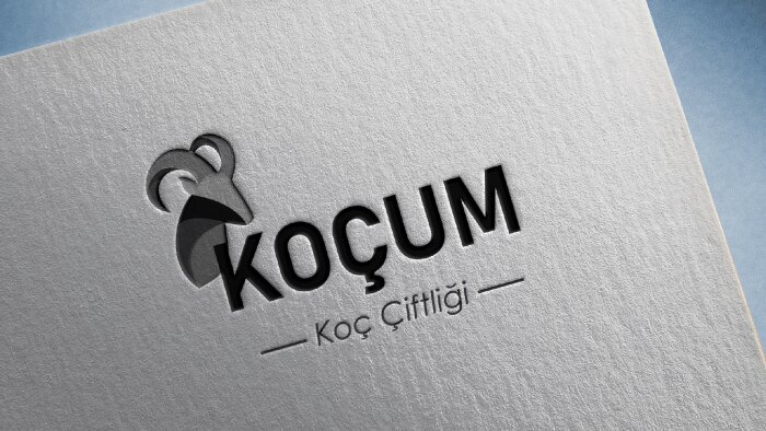 sizlere en modern ve özgü logoları tasarlayacağım