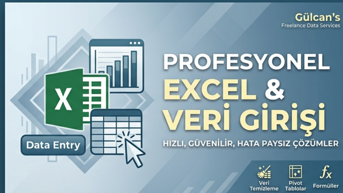 Excel verilerinizi profesyonelce düzenlerim