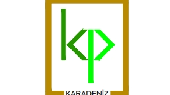 rüyanızdaki logoyu tasarlıyorum