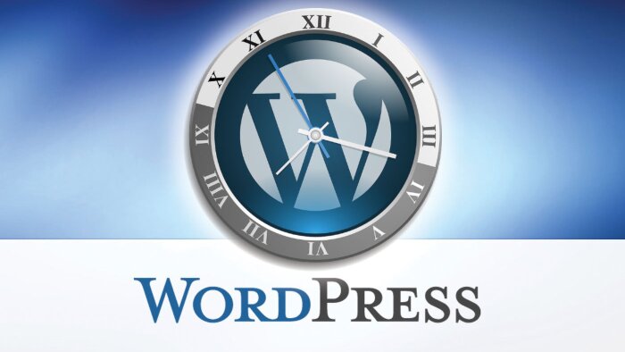 WordPress kurulumu ve eklentilerinizi kurabilirim