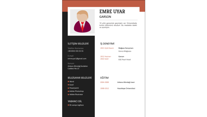 sizin için profesyonel cv tasarlarım