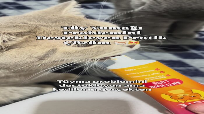 pet markaları için satış getiren UGC videolar üretirim