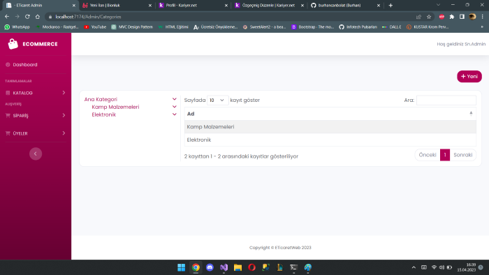 profesyonel web sitesi yaparım