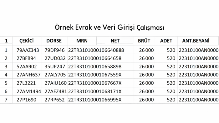 verilerinizi Excel’e düzenli şekilde işlerim