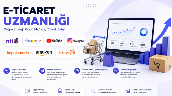 e ticaret hizmetleri sunuyorum