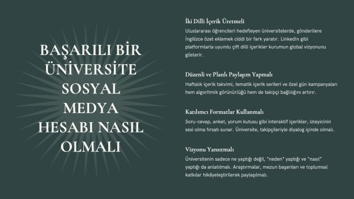 hesaplarınızı analiz edebilir, öneri geliştirebilirim