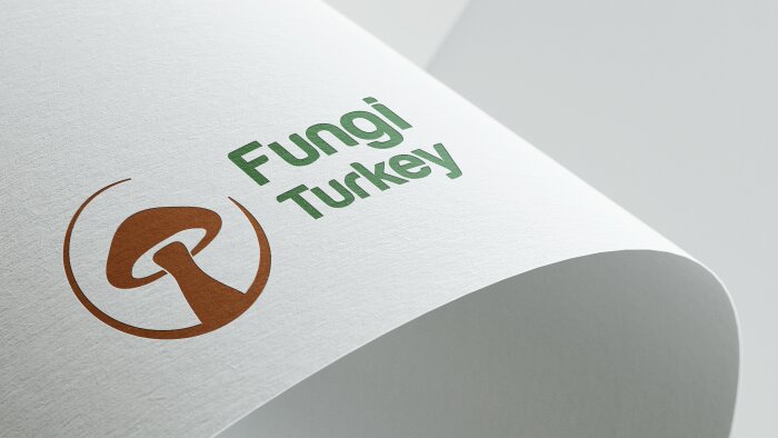 size özel ve akılda kalıcı, minimal logolar tasarlayabilirim