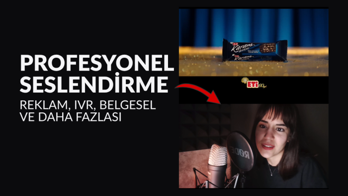 profesyonel seslendirme yaparım