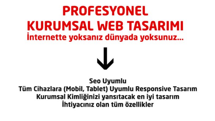 profesyonel kurumsal web tasarımı yaparım