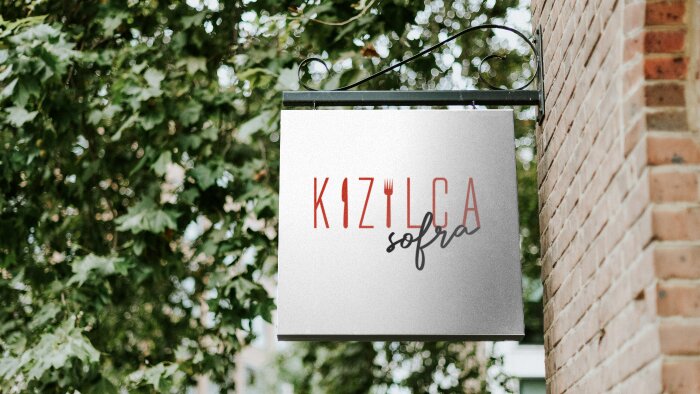 logo tasarımı yapabilirim