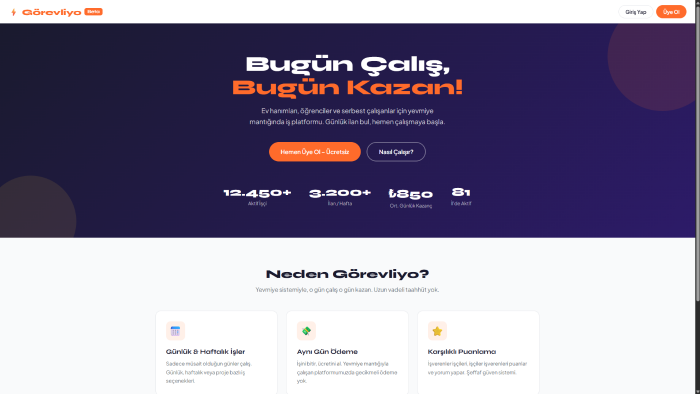 profesyonel statik web sitesi yaparım