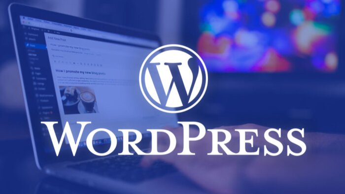 profesyonel wordpress siteleri oluşturabilirim