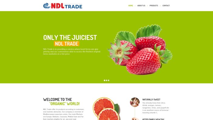 1 yıl hosting dahil anahtar teslim kurumsal site yapabilirim