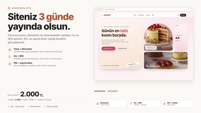 WordPress sitenizi 3 günde kurup yayına alıyorum