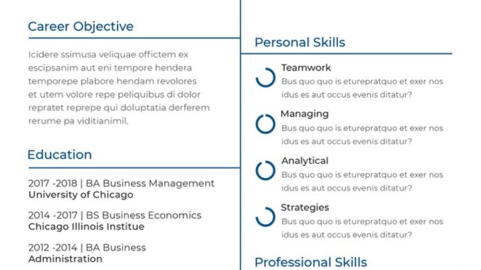 profesyonel CV hazırlayabilirim